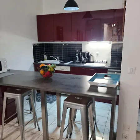 La Palais Osiris Centre Jardin Wifi Clim Parking *