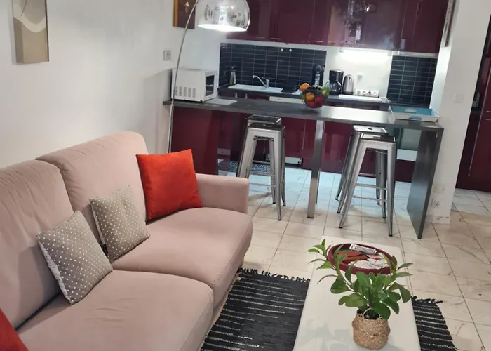 Apartmán La Palais Osiris Centre Jardin Wifi Clim Parking *