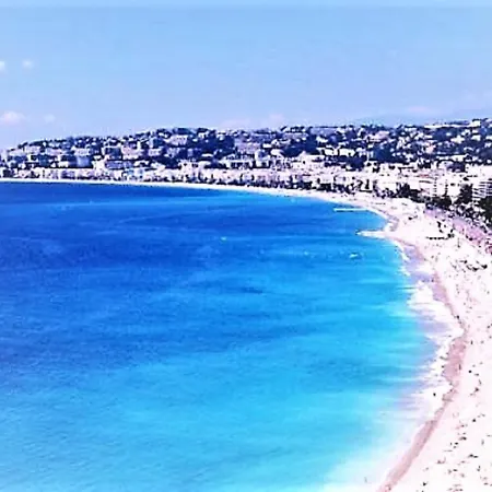 La Palais Osiris Centre Jardin Wifi Clim Parking * Nice