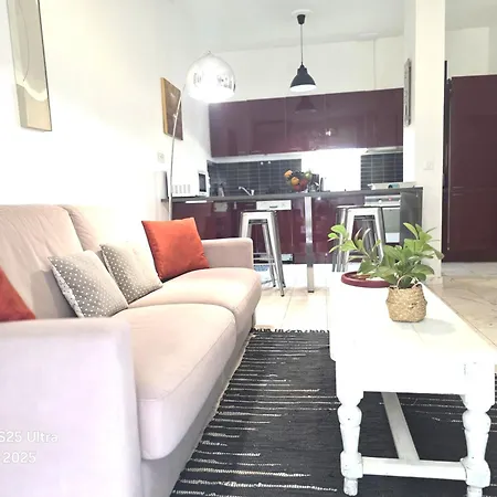 La Palais Osiris Centre Jardin Wifi Clim Parking Apartment