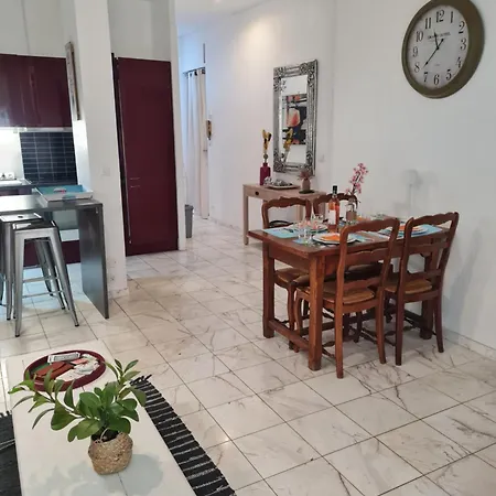 La Palais Osiris Centre Jardin Wifi Clim Parking Nicea