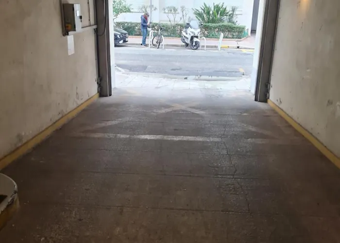 La Palais Osiris Centre Jardin Wifi Clim Parking Nizza