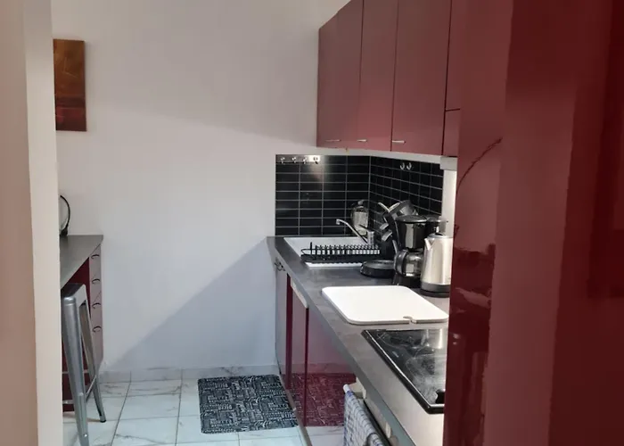 La Palais Osiris Centre Jardin Wifi Clim Parking Apartman *