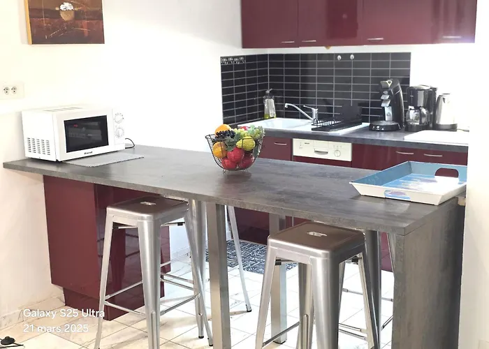 La Palais Osiris Centre Jardin Wifi Clim Parking *