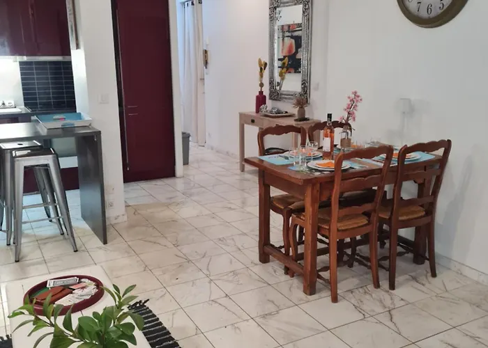 La Palais Osiris Centre Jardin Wifi Clim Parking Nizza