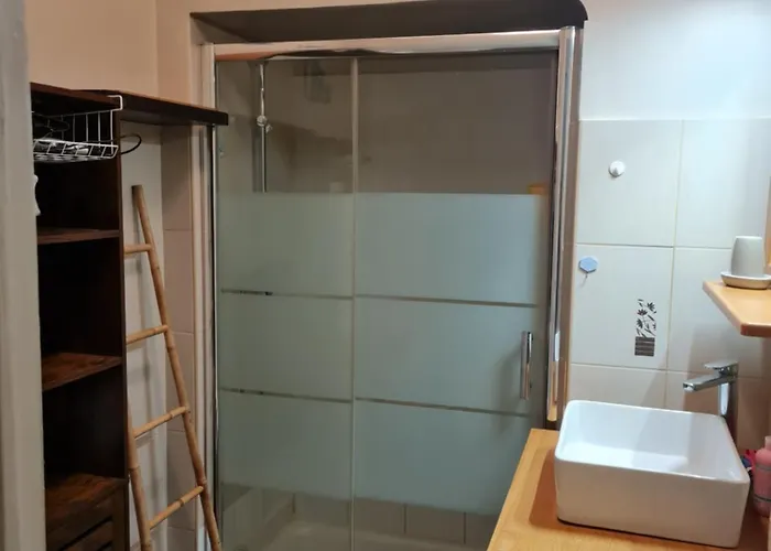 La Palais Osiris Centre Jardin Wifi Clim Parking * Nizza