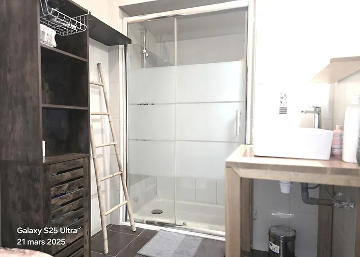 La Palais Osiris Centre Jardin Wifi Clim Parking Apartman Nizza