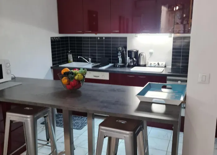 La Palais Osiris Centre Jardin Wifi Clim Parking *