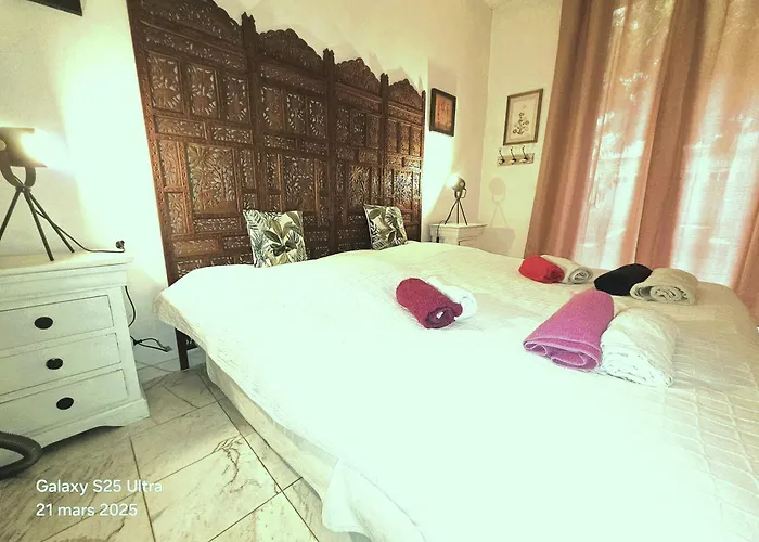 Appartement La Palais Osiris Centre Jardin Wifi Clim Parking