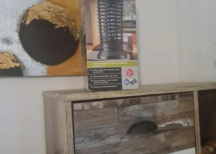 La Palais Osiris Centre Jardin Wifi Clim Parking * Nizza